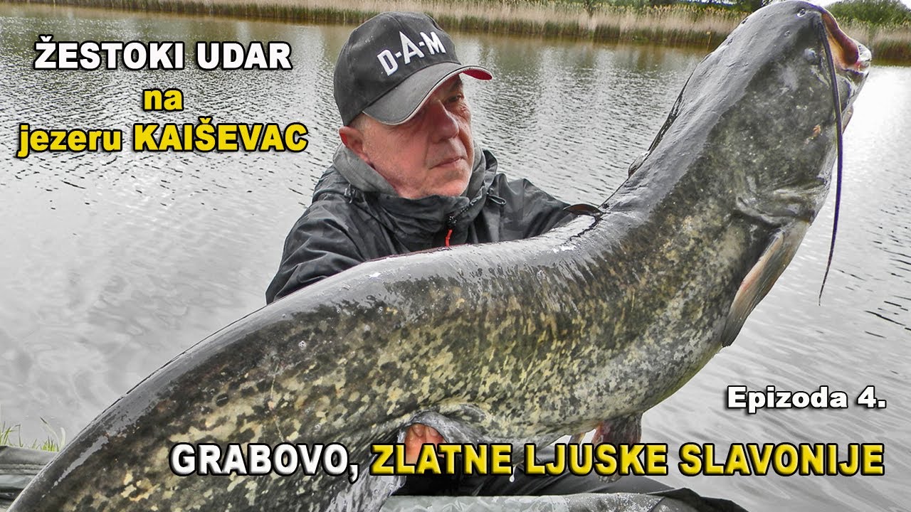 RASTURAČINA! Šarani, amuri pa som! Grabovo Kaiševac - ZLATNE LJUSKE SLAVONIJE 4/4 / VSP Igor Pavičić
