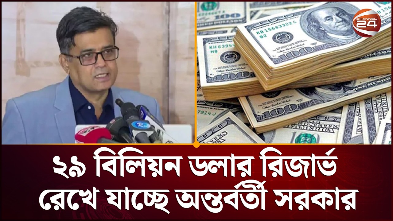 অন্তর্বর্তী সরকার যে পরিমাণ রিজার্ভ রেখে যাচ্ছে তাতে দেশের ৬ মাসের খাদ্য হবে: শফিকুল আলম