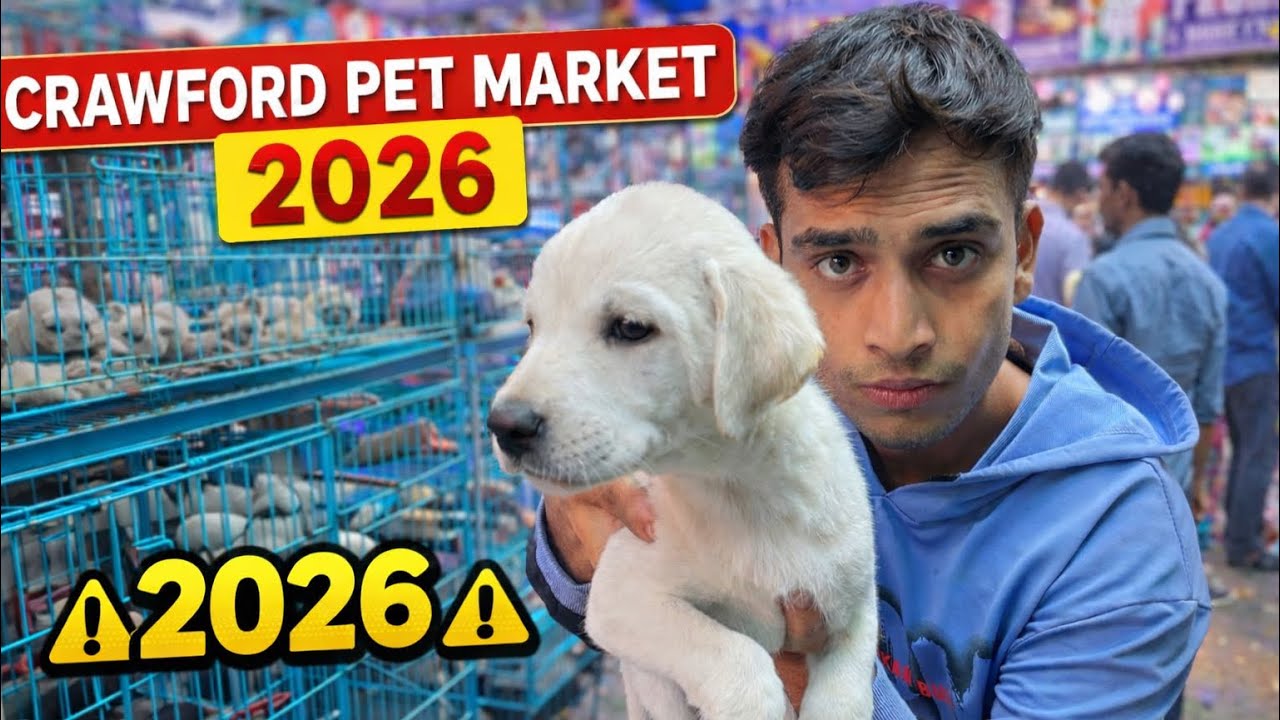 Crawford Pets Market 2026 🐩🦮 | #oyeshabaz.008 |
