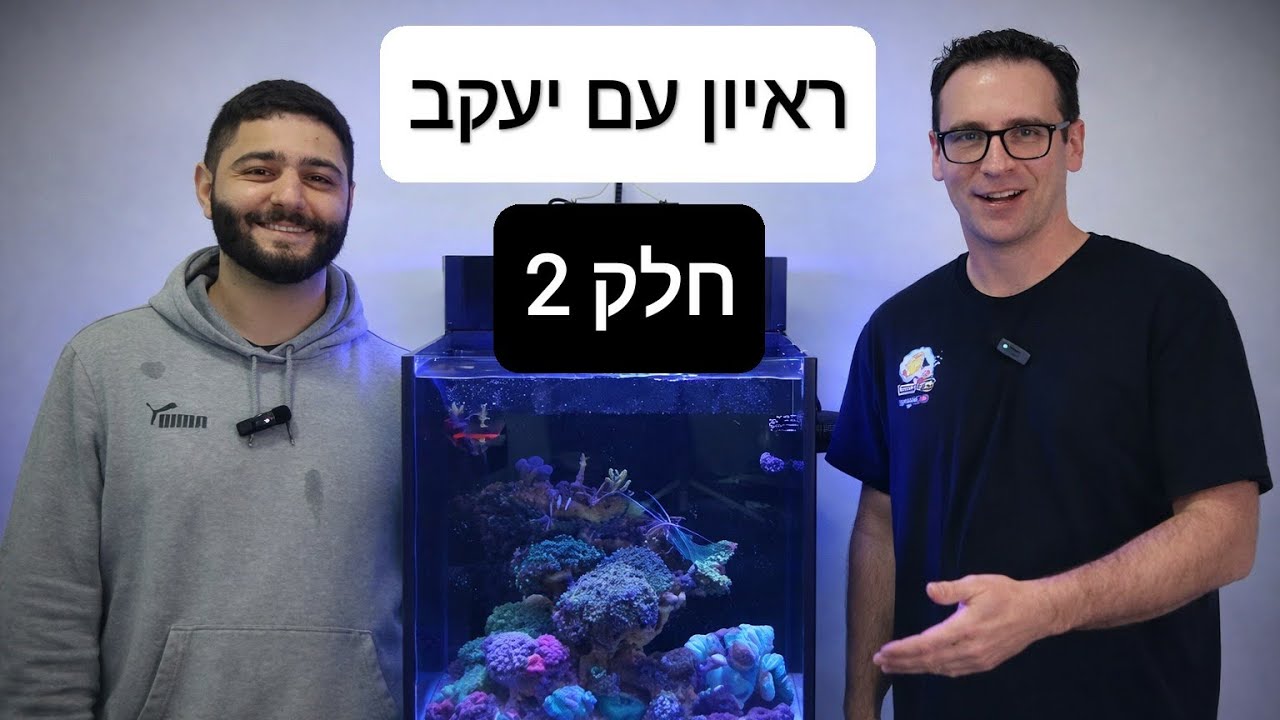חלק 2 - ריף ננו למתחילים? הצצה לאקווריום Red Sea + טיפים חשובים