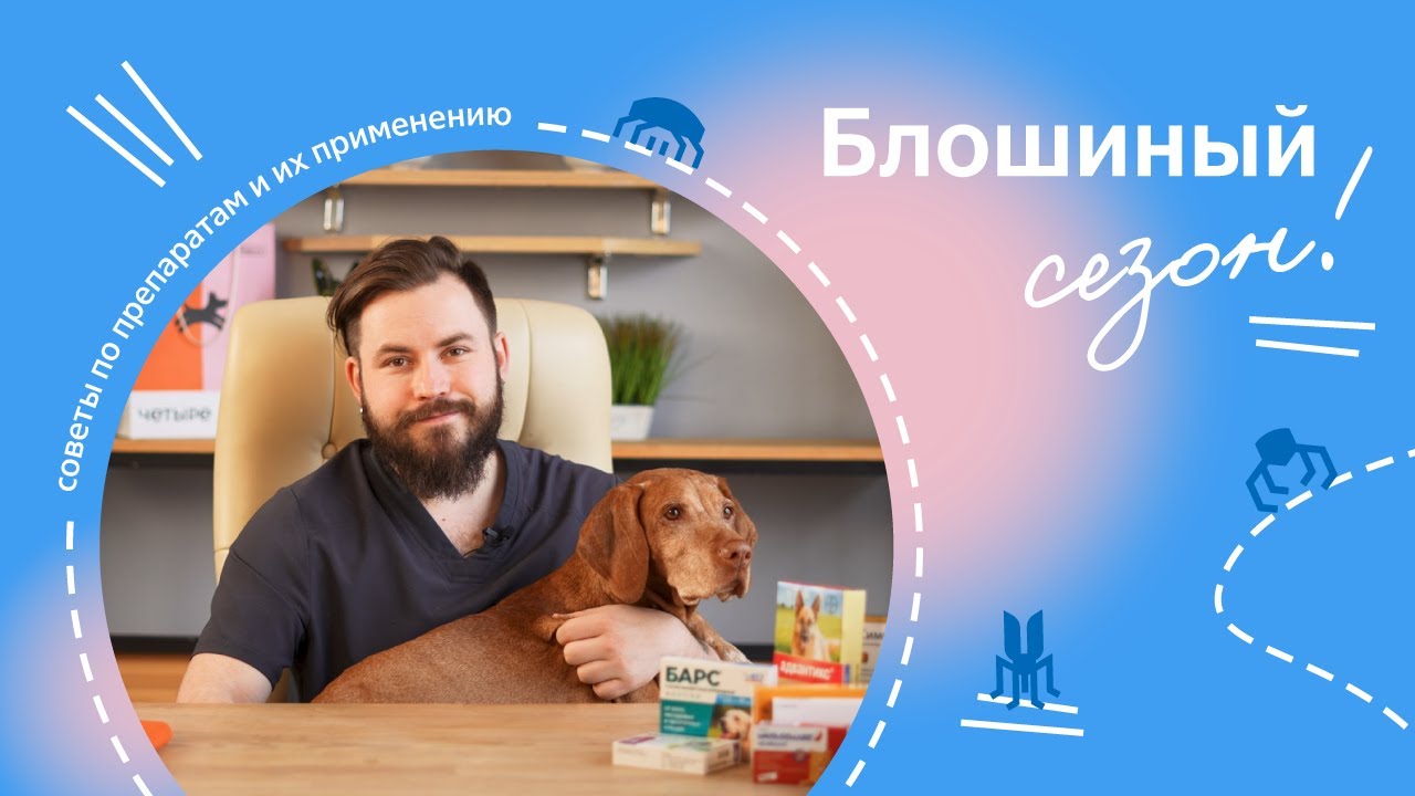 Обработка питомца от блох, клещей и гельминтов.