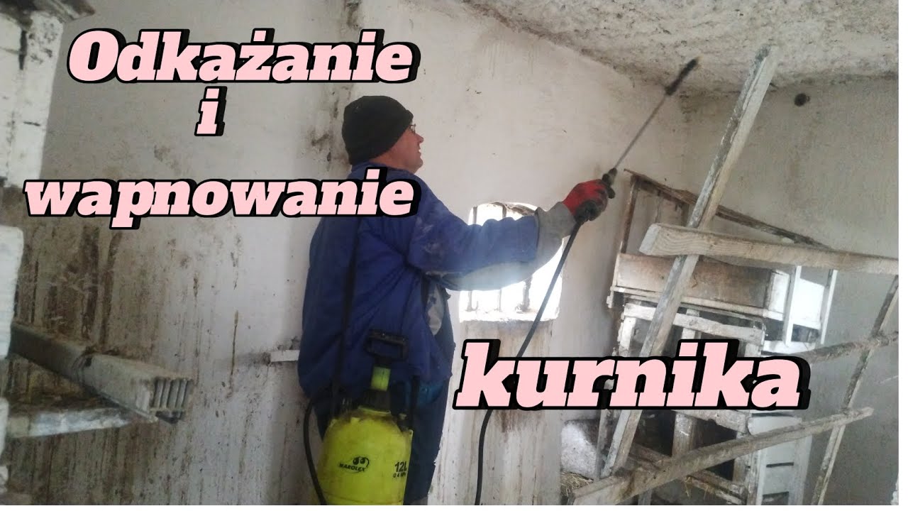 271. Kurnik odświeżony 🐔 wapnowanie, odkażanie gniazd 🐔 sprzątanie u zwierząt 🐐🐔