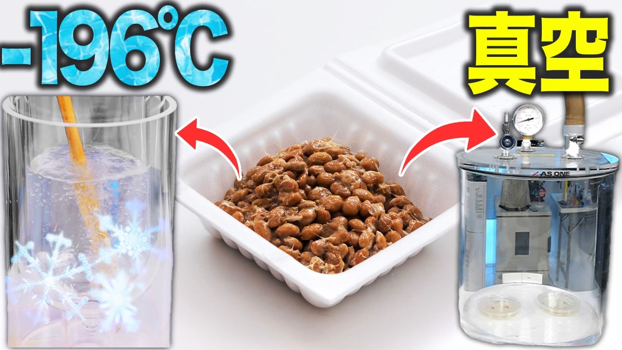 地球で最も無敵生物『納豆菌』は液体窒素や真空にしても死なないのか？！実験した結果ヤバすぎた…