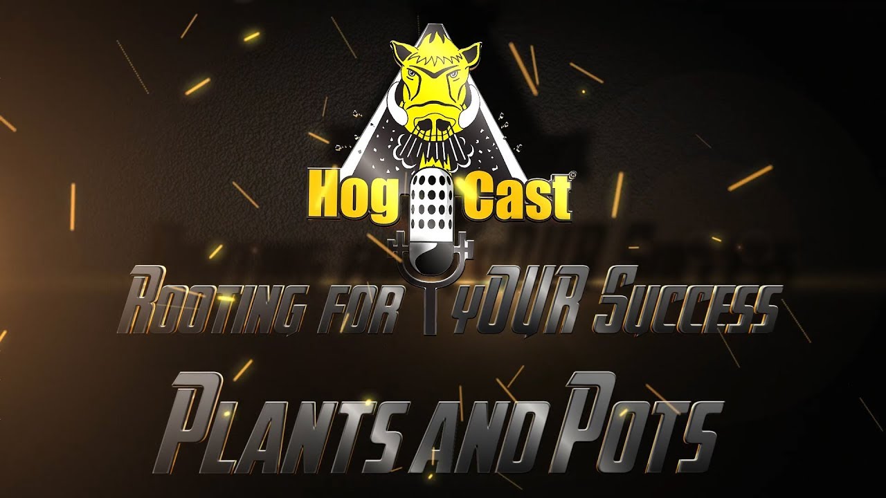 Hog Cast - Plants and Pots