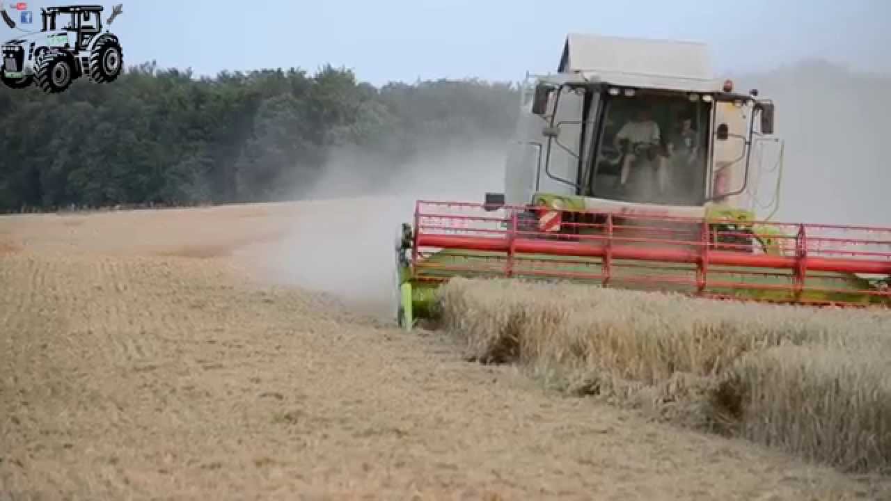 Getreideernte 2014 mit Claas Tucano 440