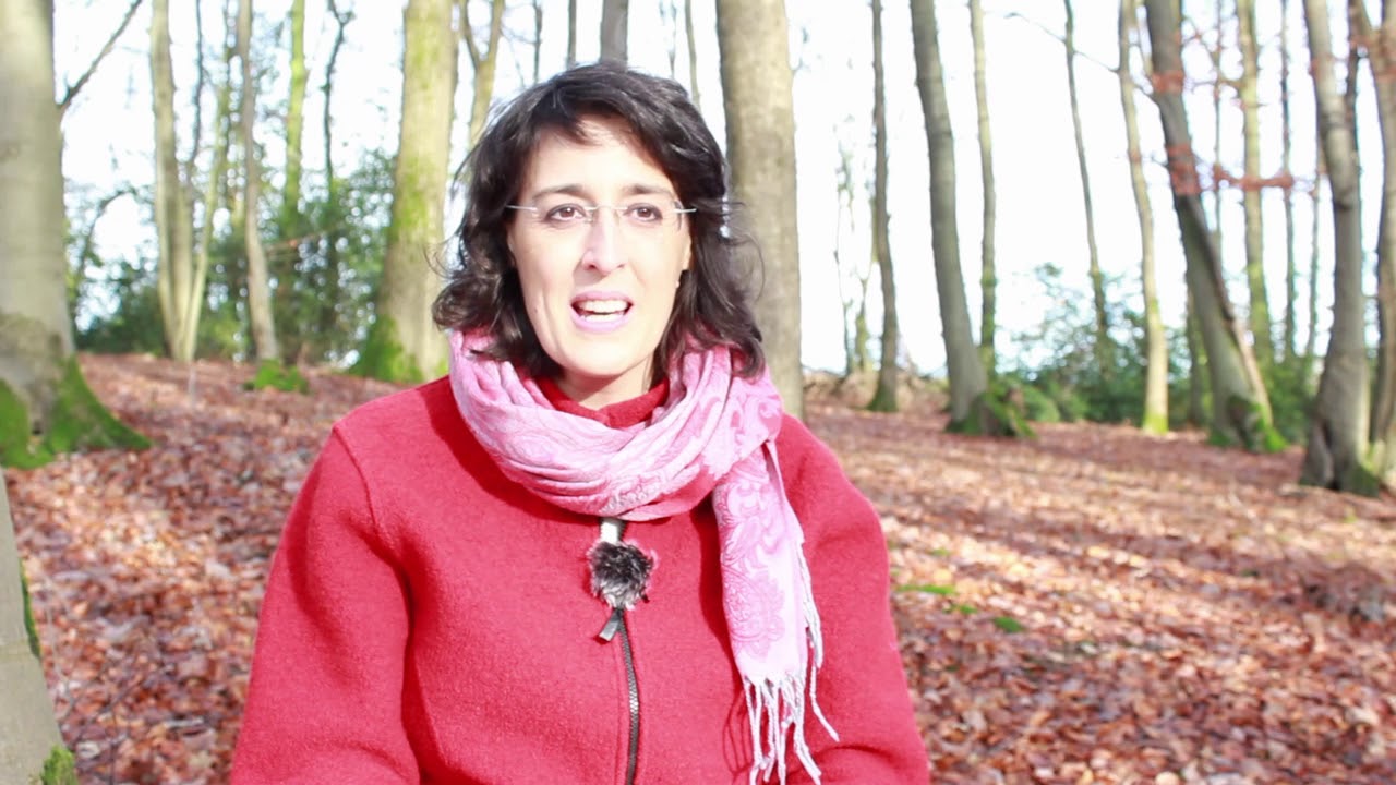 Arbeitsraum Natur - Sandra Kn&uuml;mann - Naturtherapie mit Einzelpersonen