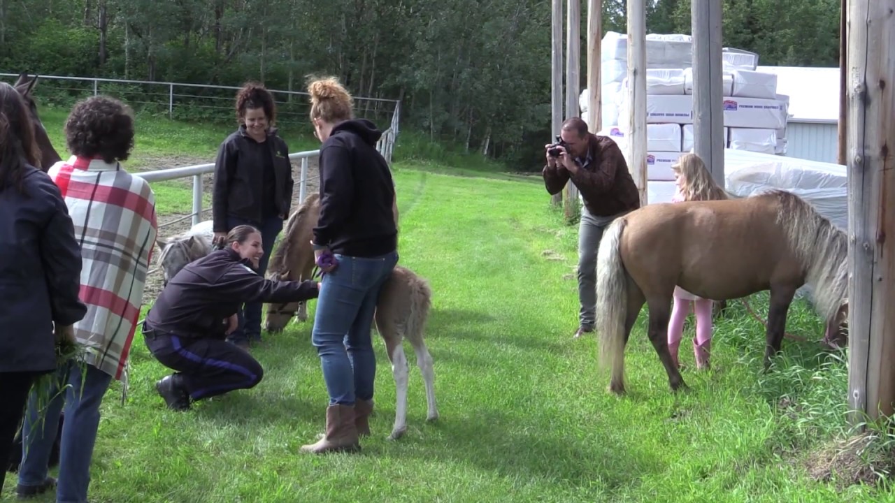 Livestock owners should prepare for winter weed
