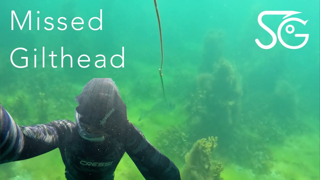 Snorkelling Heaven | Guernsey | June 2023