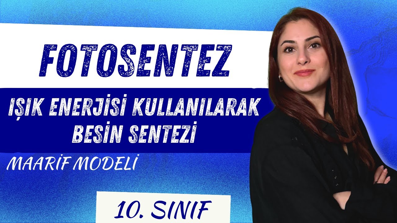 2) FOTOSENTEZ (IŞIK ENERJİSİ KULLANILARAK BESİN SENTEZİ) - 10. SINIF BİYOLOJİ - MAARİF MODELİ