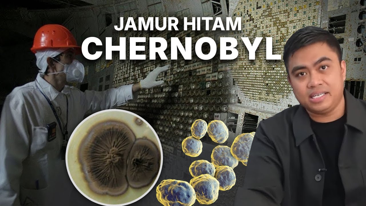 Jamur Hitam Ini Menyerap Radiasi Nuklir Chernobyl. Bagaimana Kebenarannya