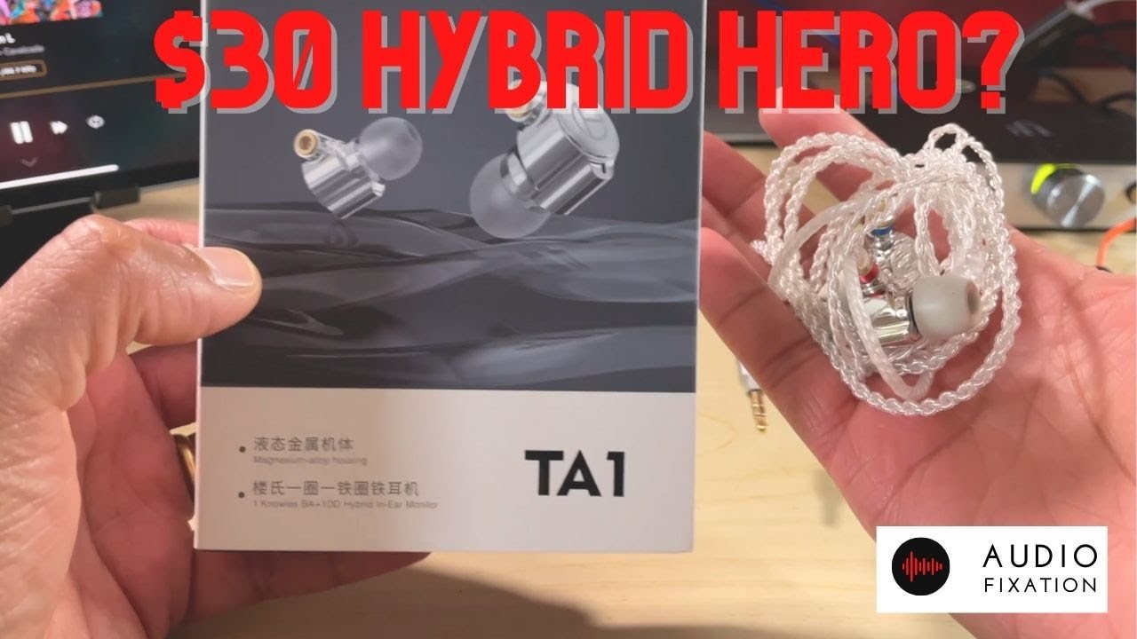 TRN TA1 IEM - Just another $30 IEM?