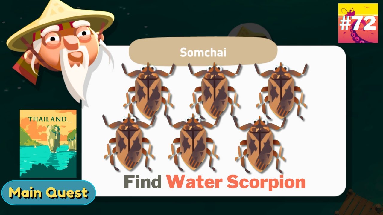 Creatures Of The Deep : Find Water scorpion (Thailand)