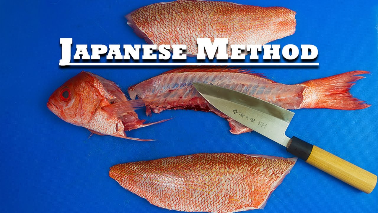 Fillet a Snapper Like a PRO (STEP BY STEP)