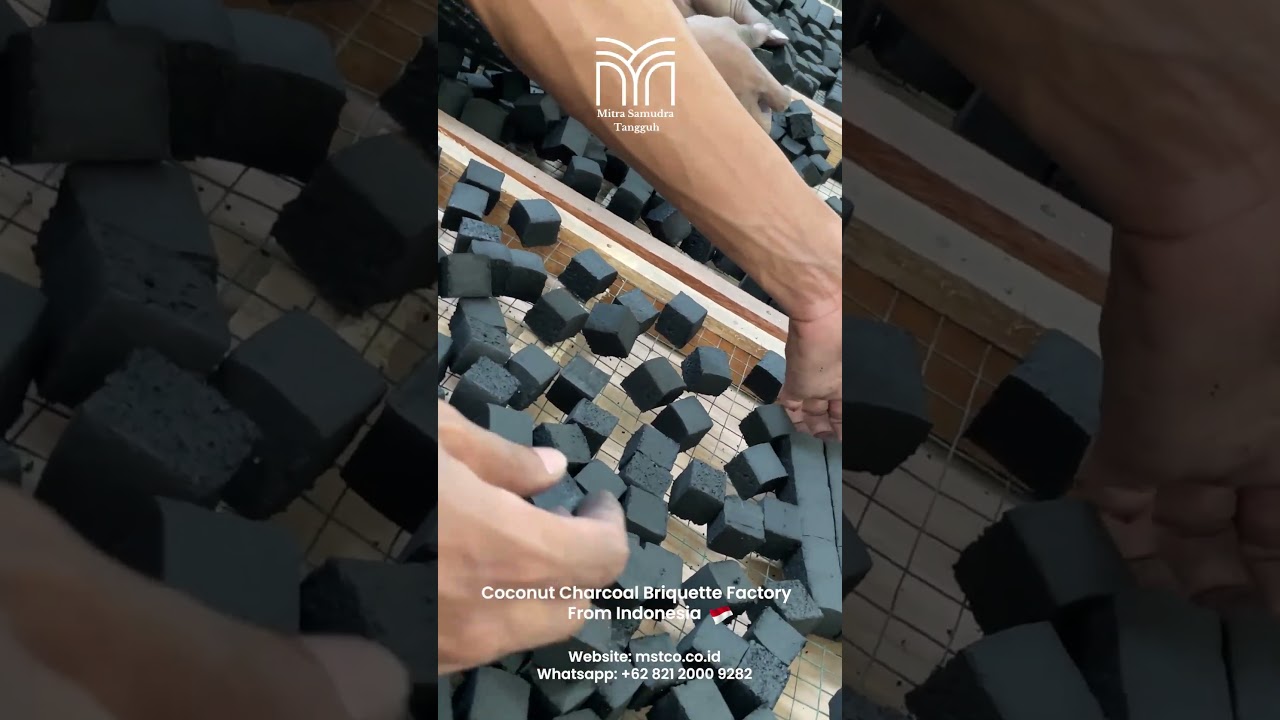 Coconut Charcoal Briquettes Factory Indonesia +6282120009282