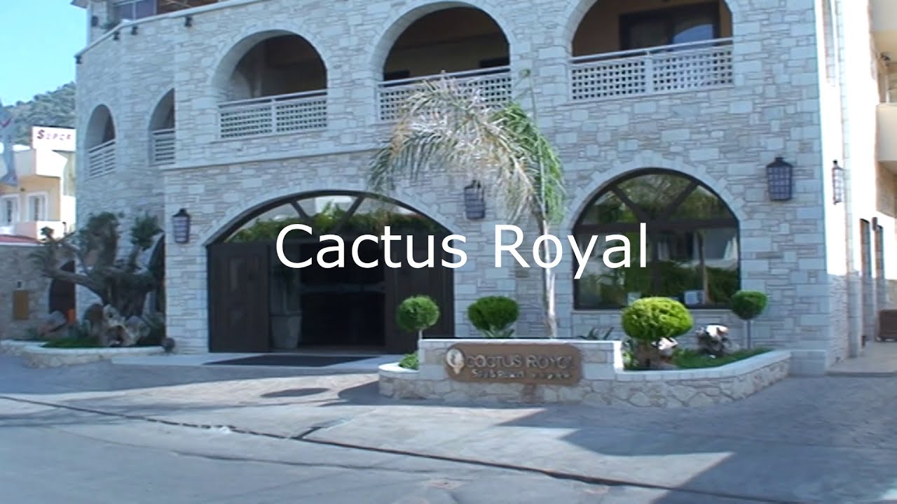 "Skarpetki w sandałach" / Cactus Royal - Stalida