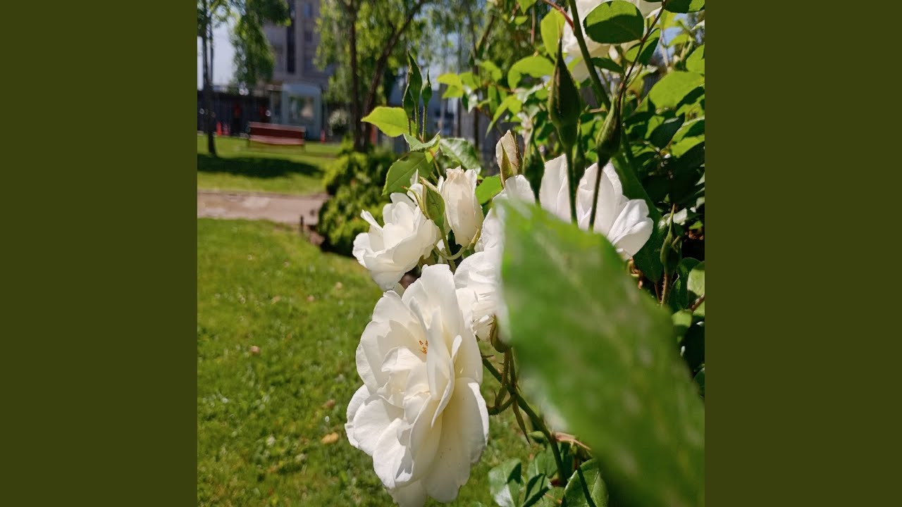 Madre Naturaleza Agonizante