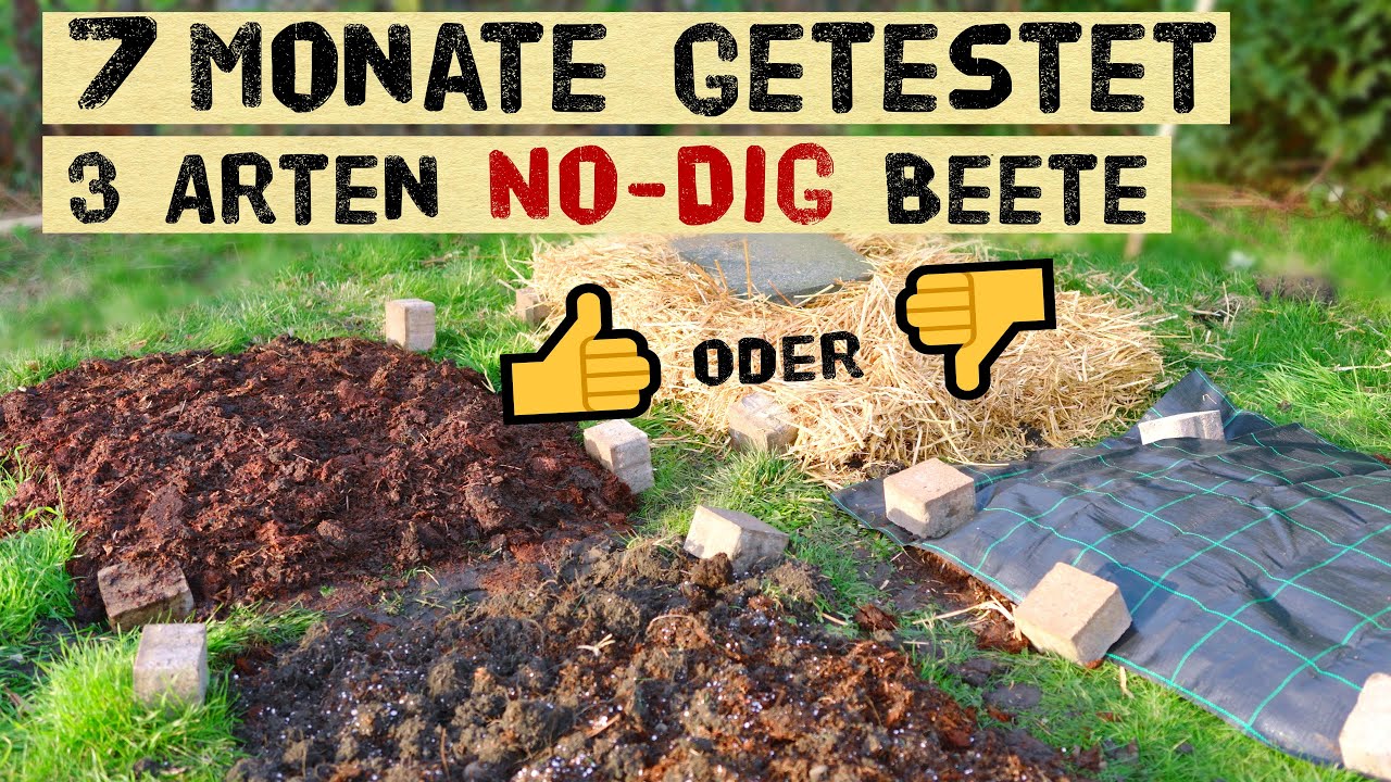 Experiment - No-Dig Beete nach 7 Monaten. Welche Methode erspart Arbeit und umgraben.