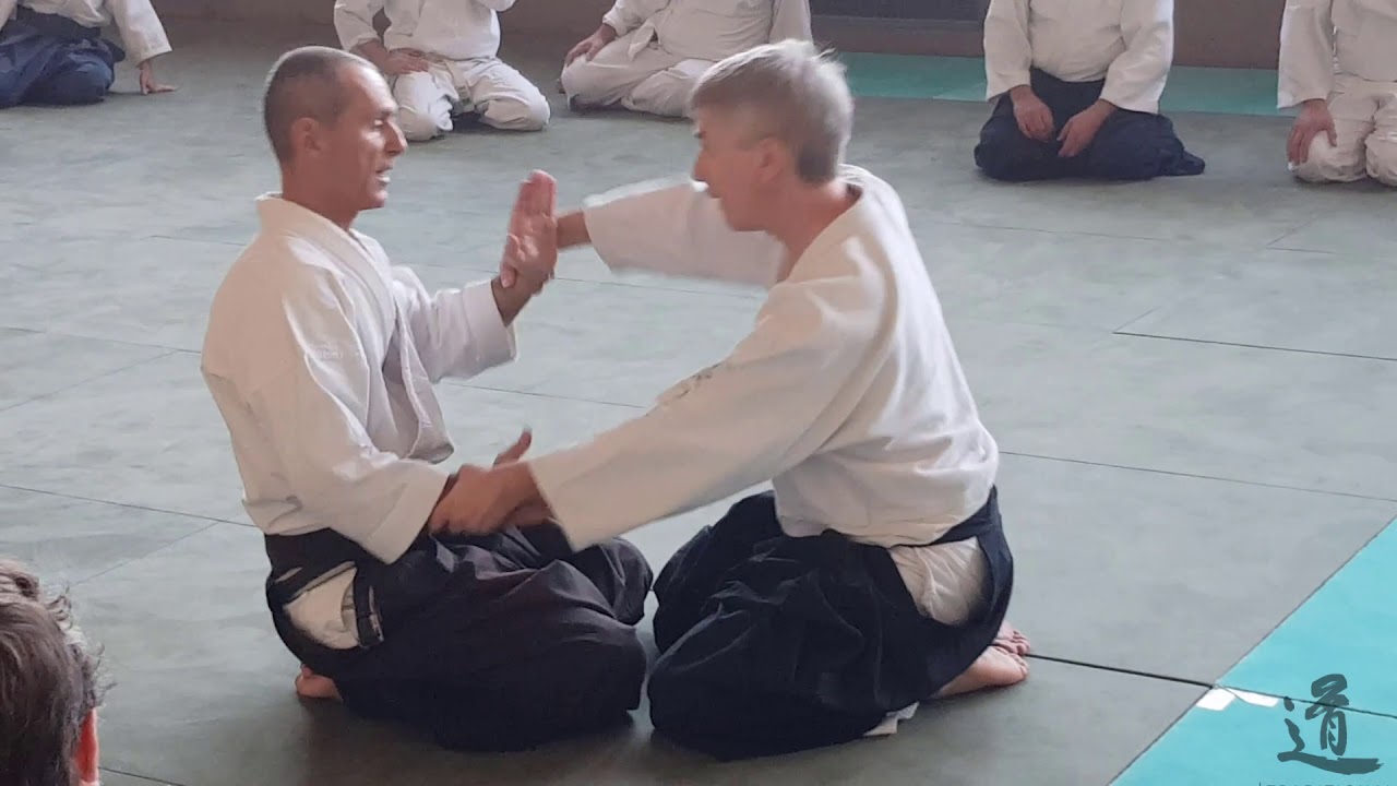 Traditional Aikido Europe - A YIN AND A YANG - Lewis Bernaldo de Quiros