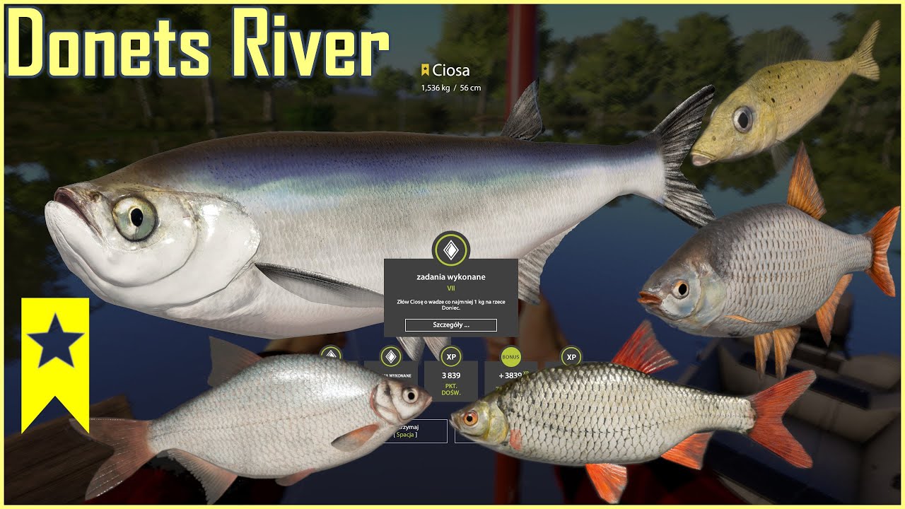 3 spoty 10+ gatnków na spławik UL Seversky Donets River | Russian Fishing 4 rf4 spot