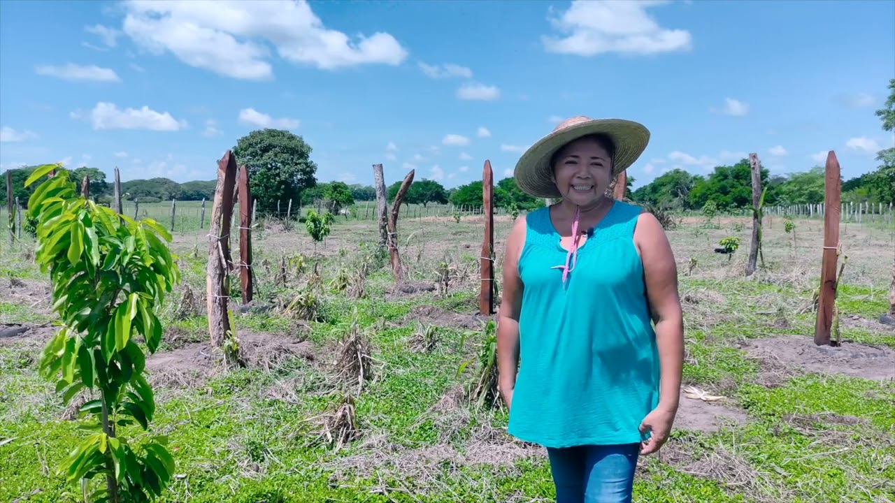 Sembrando Vida Aztlan Matillas en Villahermosa, Tabasco