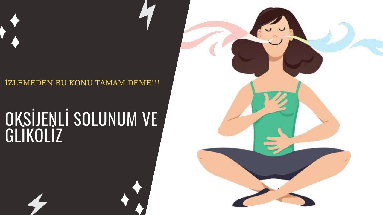 AYT Biyoloji | Hücresel Solunum Çeşitleri ve Glikoliz Konu Anlatımı 2022 AYT TYT YKS