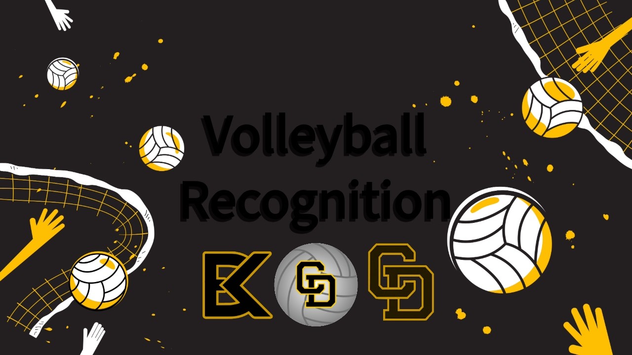 Volleyball recognition 2025-2026