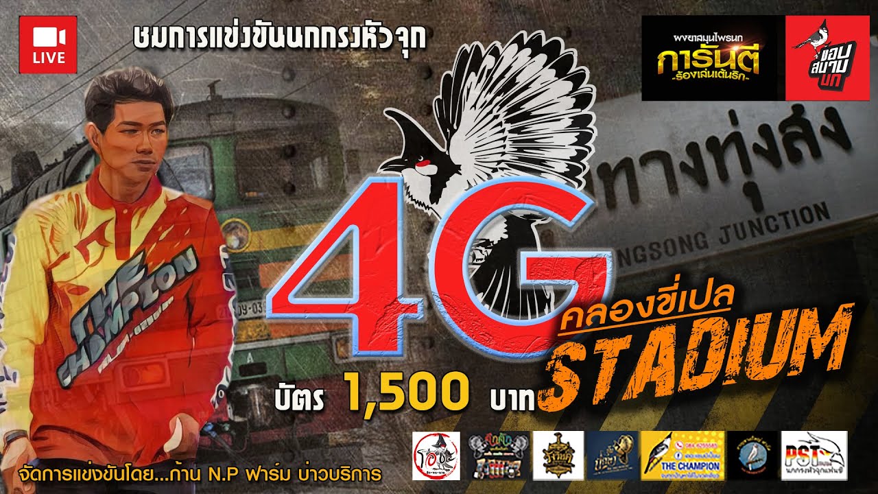 นกกรงหัวจุก 4จี อำเภอทุ่งสง #นกกรงหัวจุก #4จี #ขอบสนามนก
