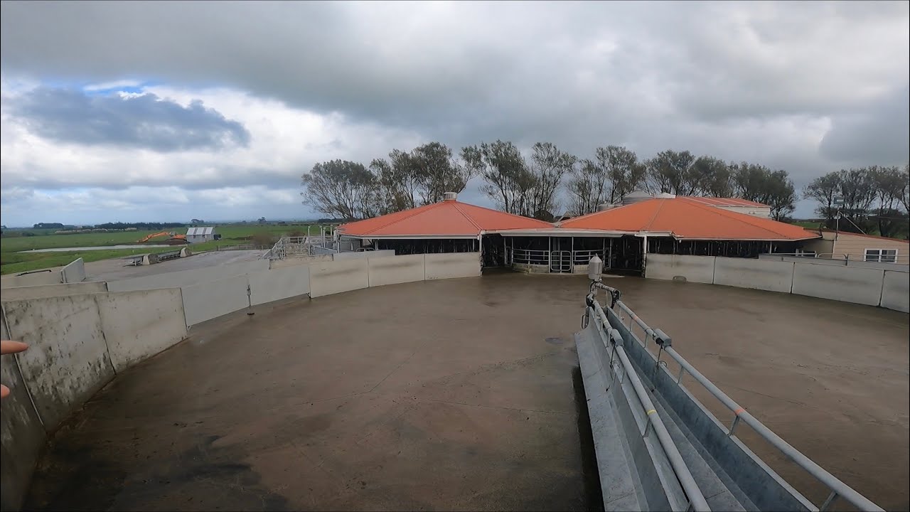 Tour of New Zealand’s fastest cowshed