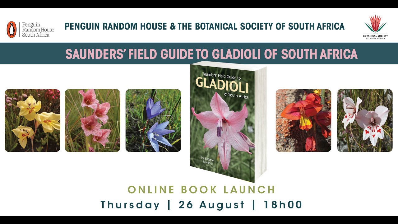 Saunders’ Field Guide to Gladioli of South Africa