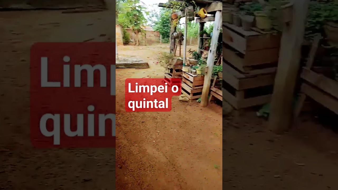 limpei o quintal