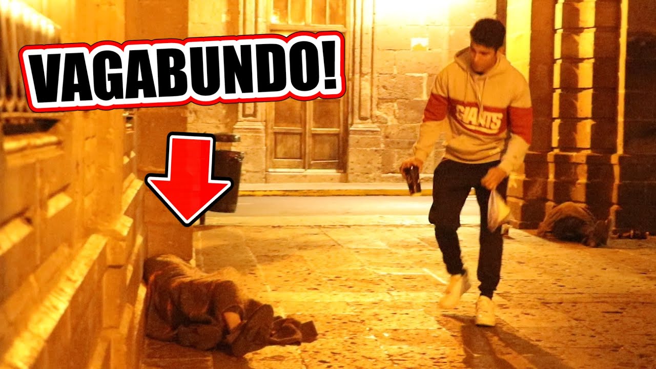 LES DEJÉ COMIDA MIENTRAS DORMÍAN Y REACCIONAN ASÍ AL DESPERTAR