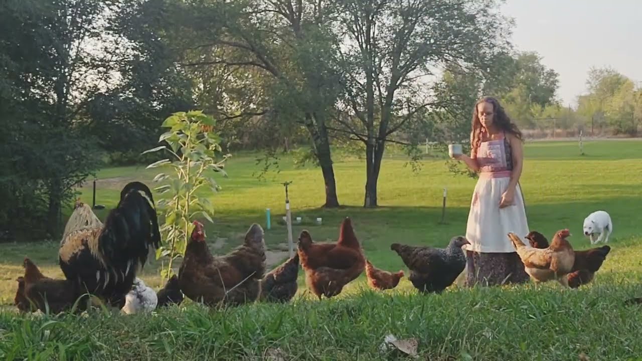 Saturday Night on Haven Hills Farm 
