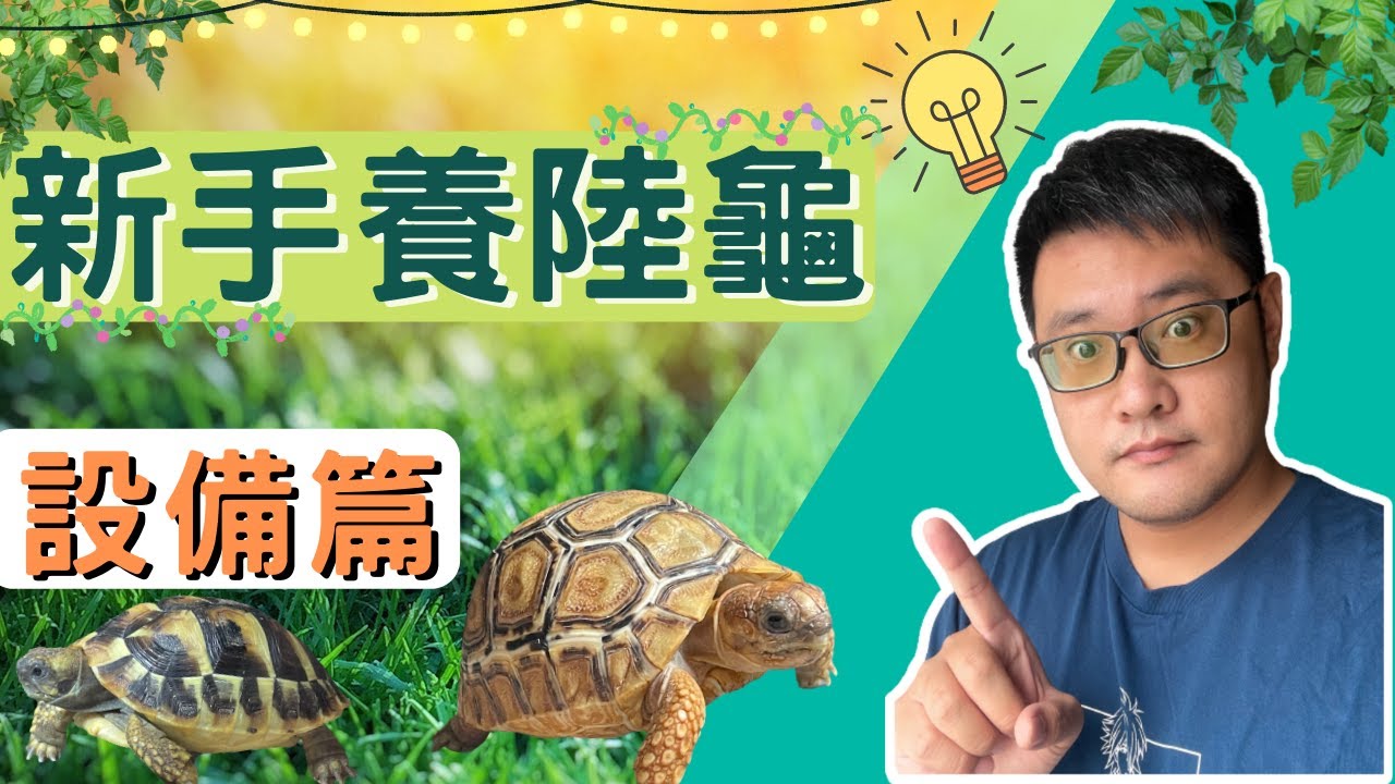 新手養陸龜!!!我該準備甚麼?!快速帶你了解養陸龜的器材設備 新手養陸龜EP.2 設備篇 #陸龜 #新手飼養 #tortoise #turtle #寵物 #飼養