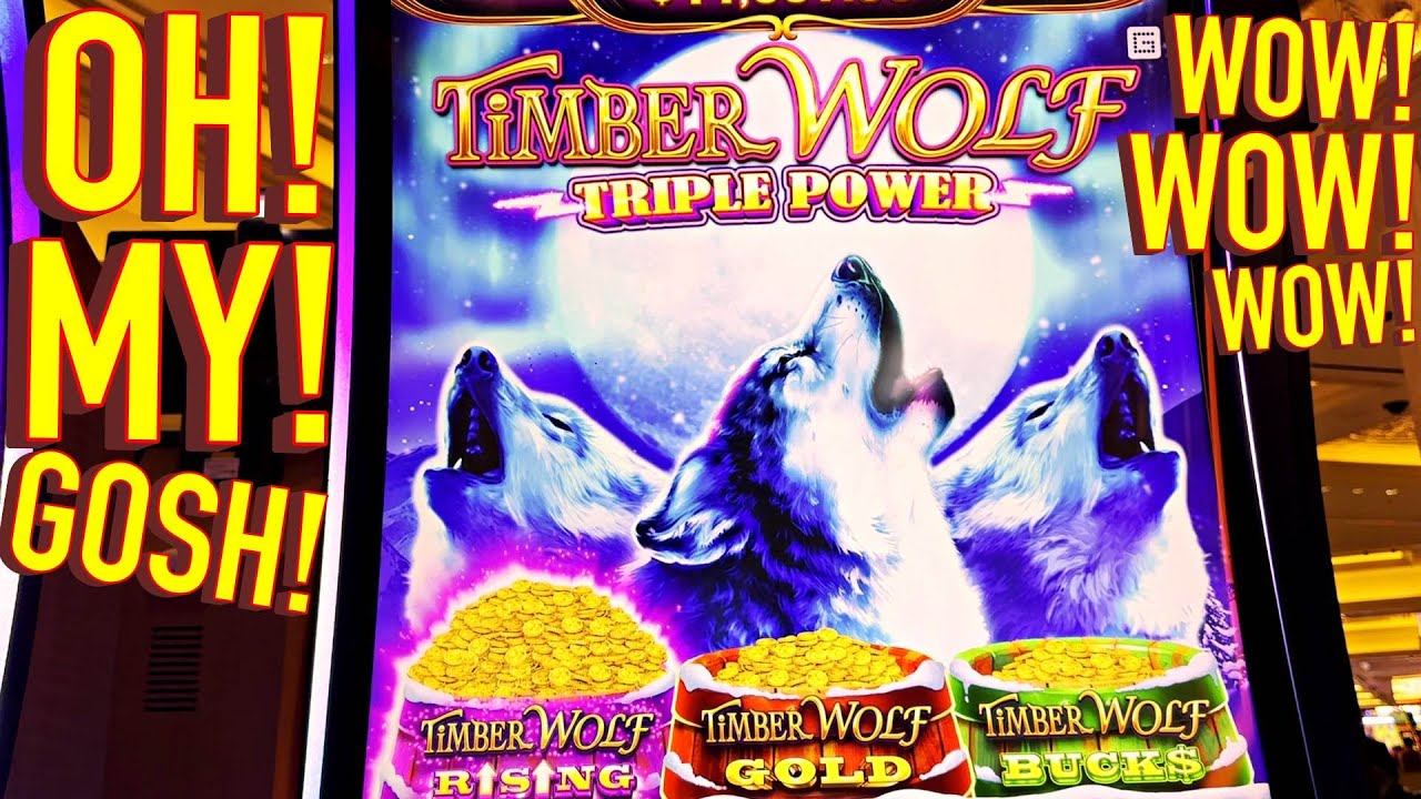 THE NEW TIMBER WOLF TRIPLE POWER!!!!!!