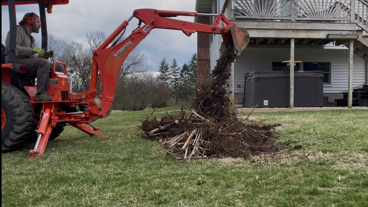Removing Bushes With a Kubota B26 TLB