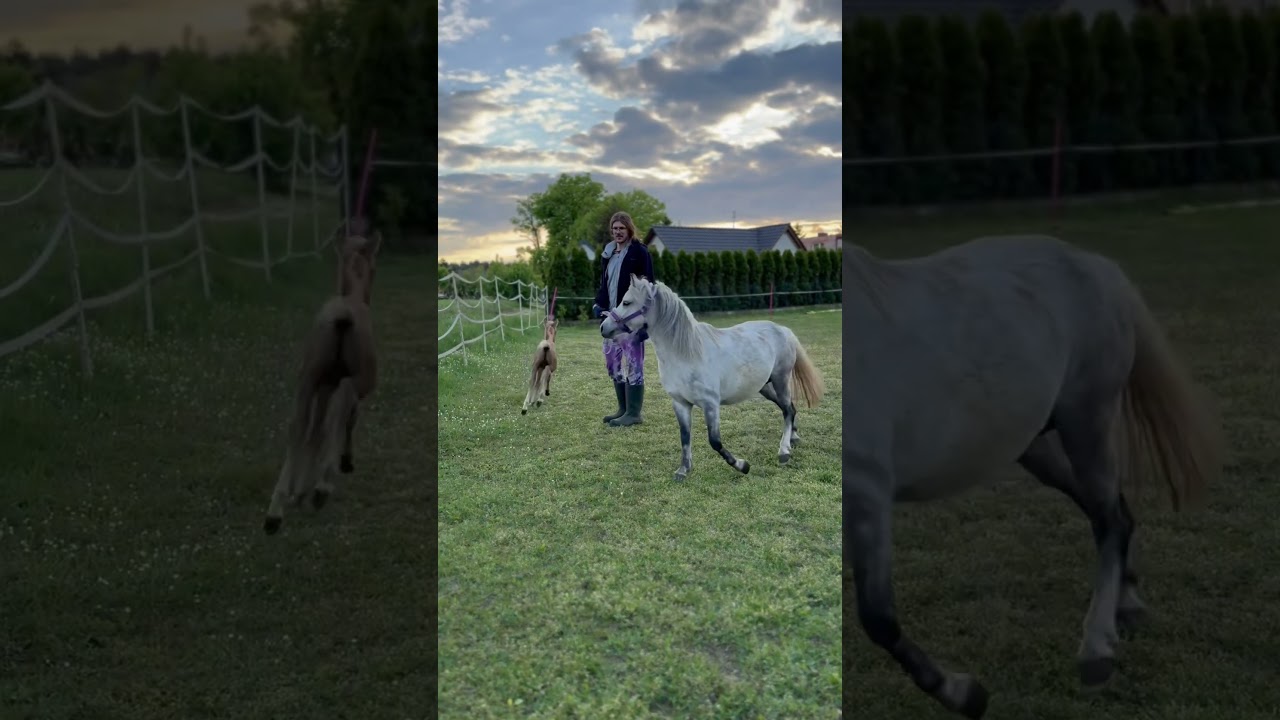 JESTEM JUŻ NA ŚWIECIE! MILAGROS LUNAR! 