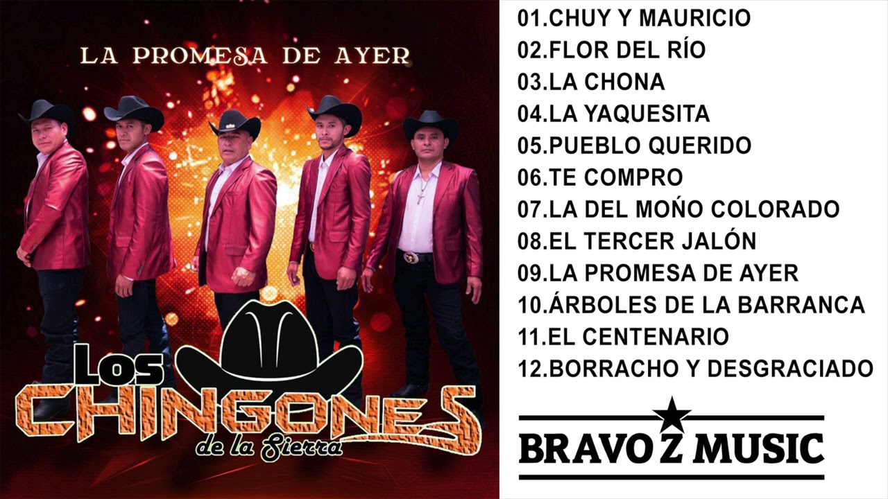 LOS CHINGONES DE LA SIERRA 