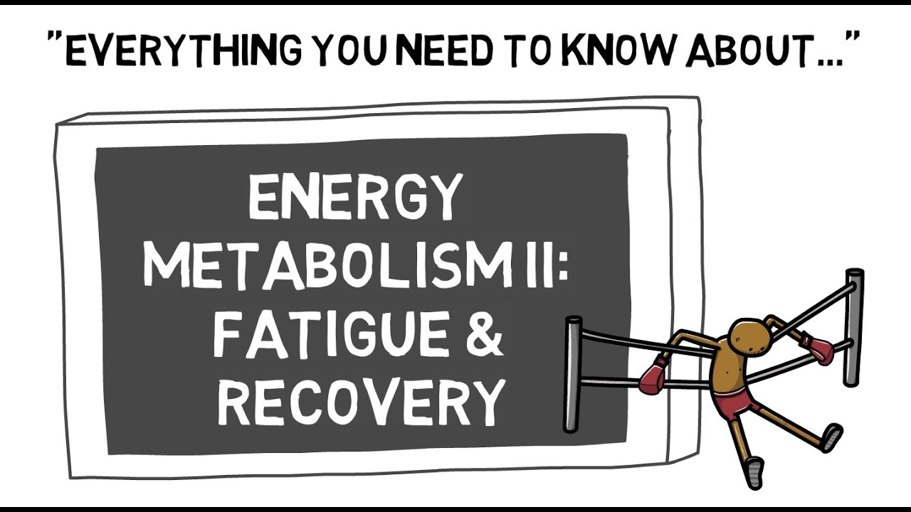 Energy Metabolism II Fatigue & Recovery | Sport Science Hub: Physiology Fundamentals | Music Version