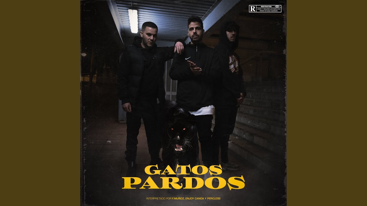 Gatos Pardos