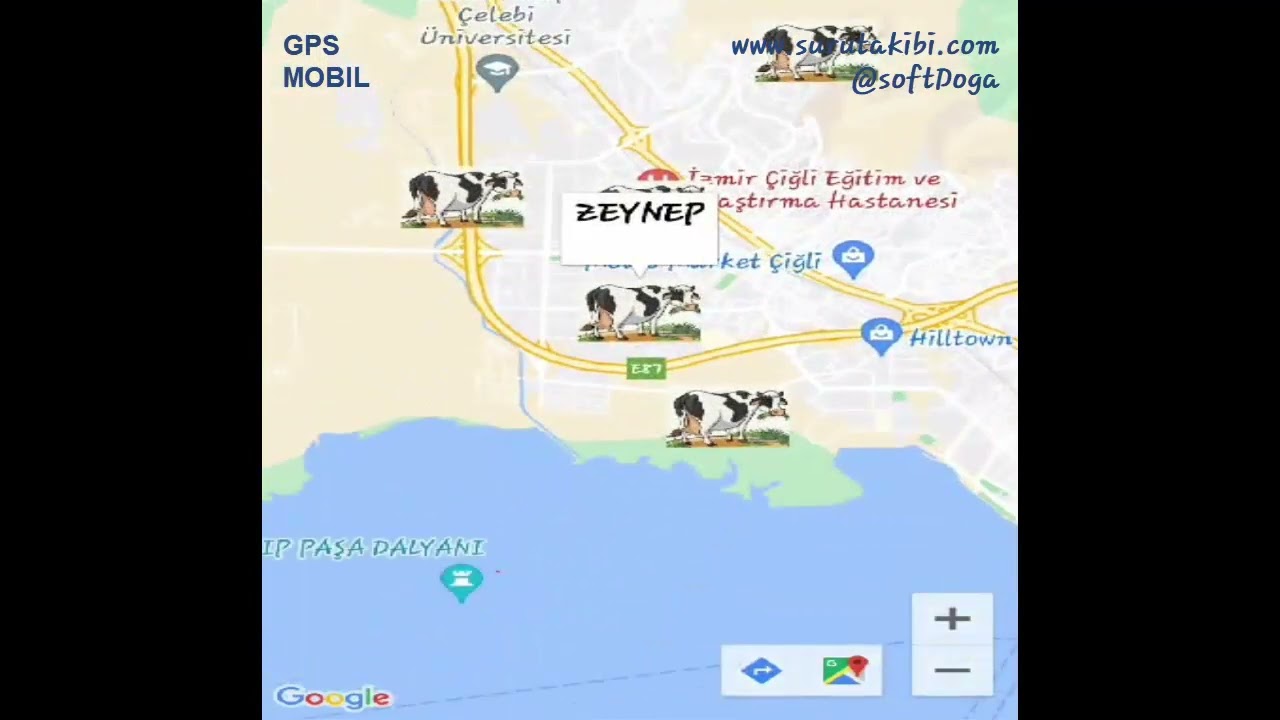 GPSMobil , Uydudan Hayvan Takibi