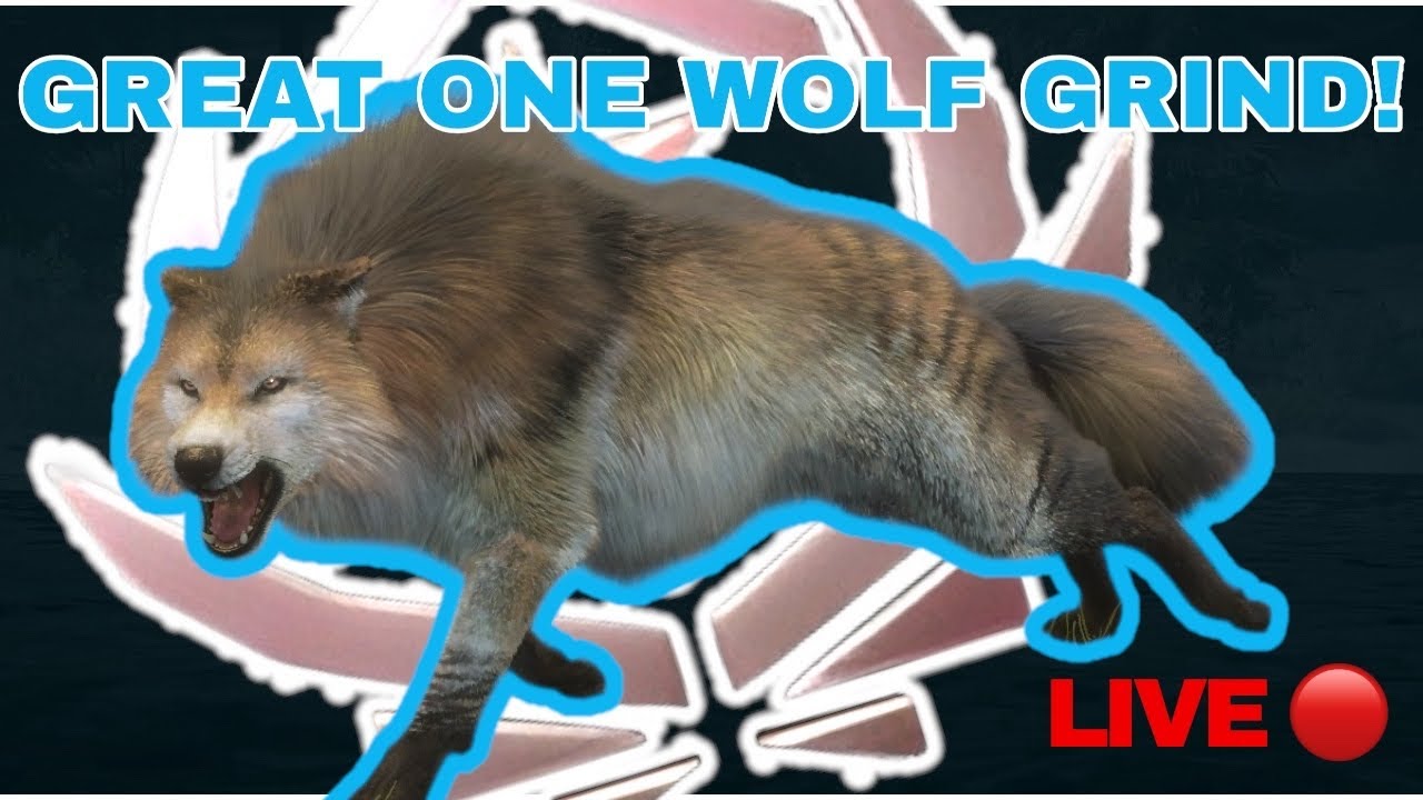 14 kills into Great One wolf grind #2! Will he spawn today? The Hunter Call Of The Wild LIVE!