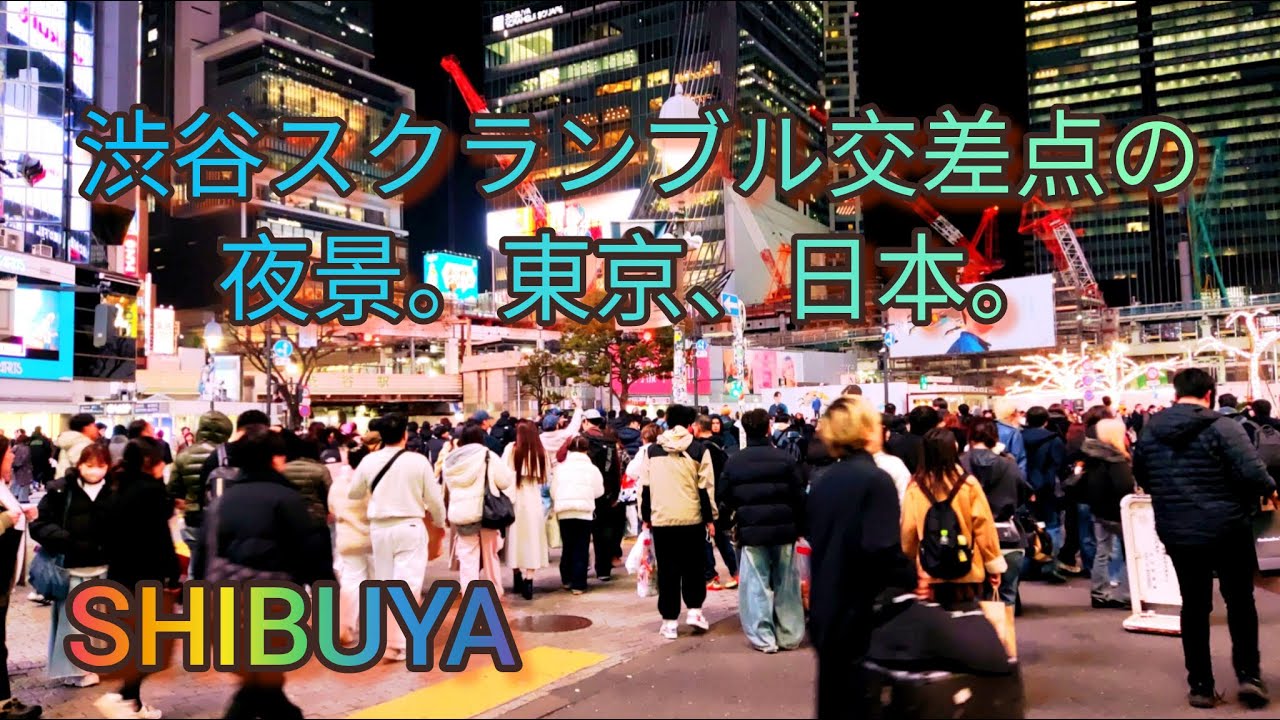 Shibuya night view & walking tour. Tokyo, Japan. 