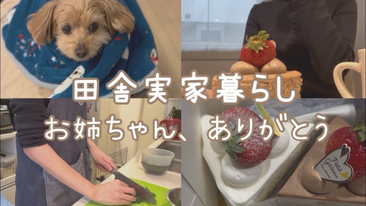 田舎実家暮らし | 支えてくれたお姉ちゃんと、お別れの時間😢💭