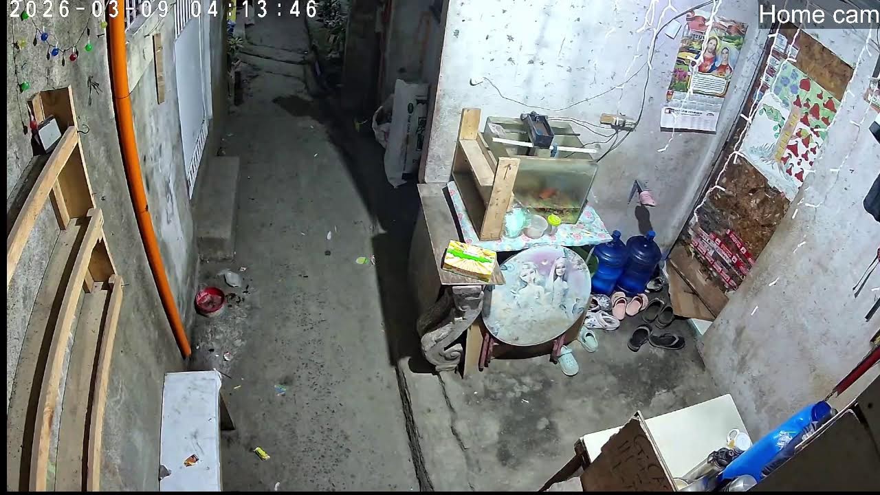 Lola's Home - Home Cam- My Everyday life