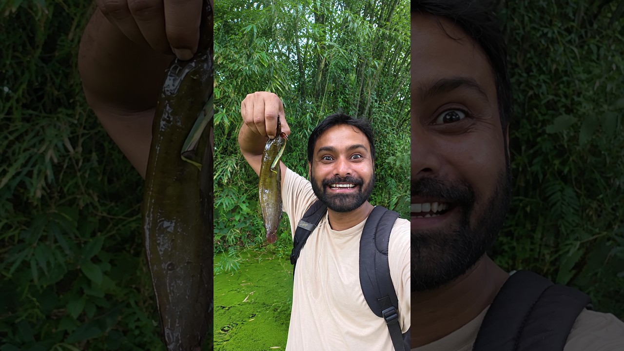 শিঙি উঠালোঁ 😂 assamese mini vlog