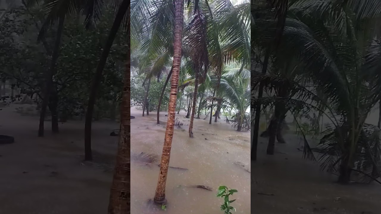 Heavy rain 🌧️⛈️⛈️Flood in suvarna river Udupi #shots #flood #hevyrainfall #Udupi #river