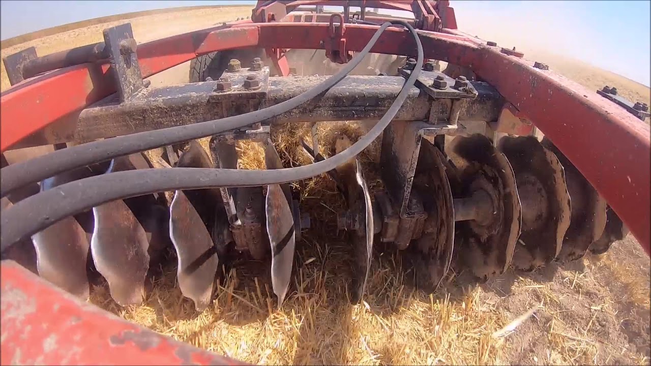 broyage et d&eacute;chaumage des pailles d'escourgeon