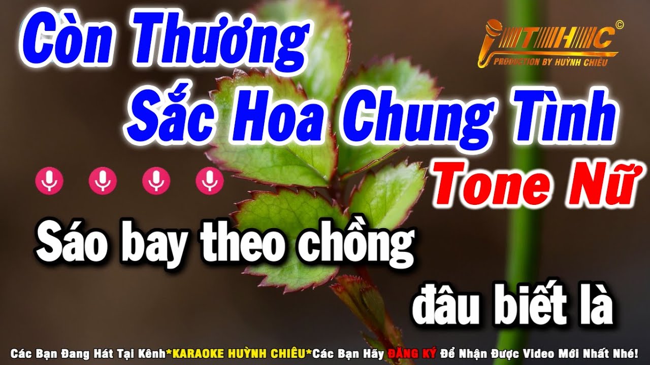 Karaoke Còn Thương Sắc Hoa Chung Tình - Tone Nữ  || Nhạc Sống THC KARAOKE
