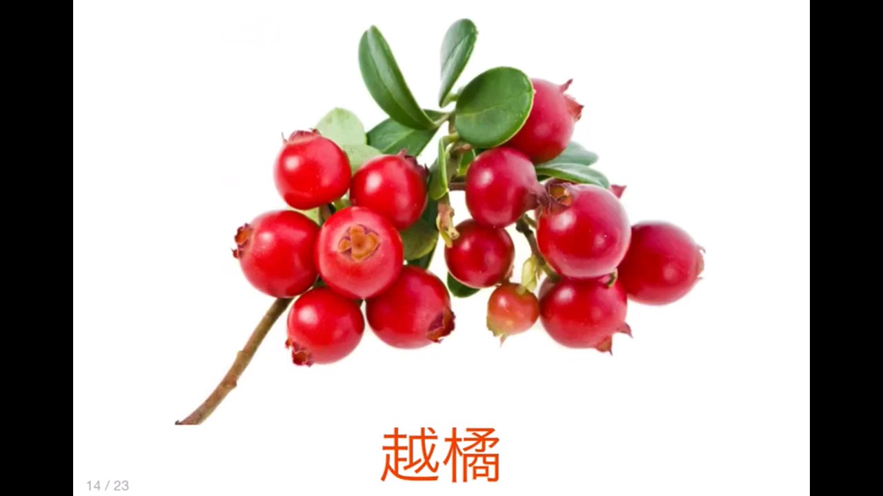 Chinese  Many fruits   Flashcard