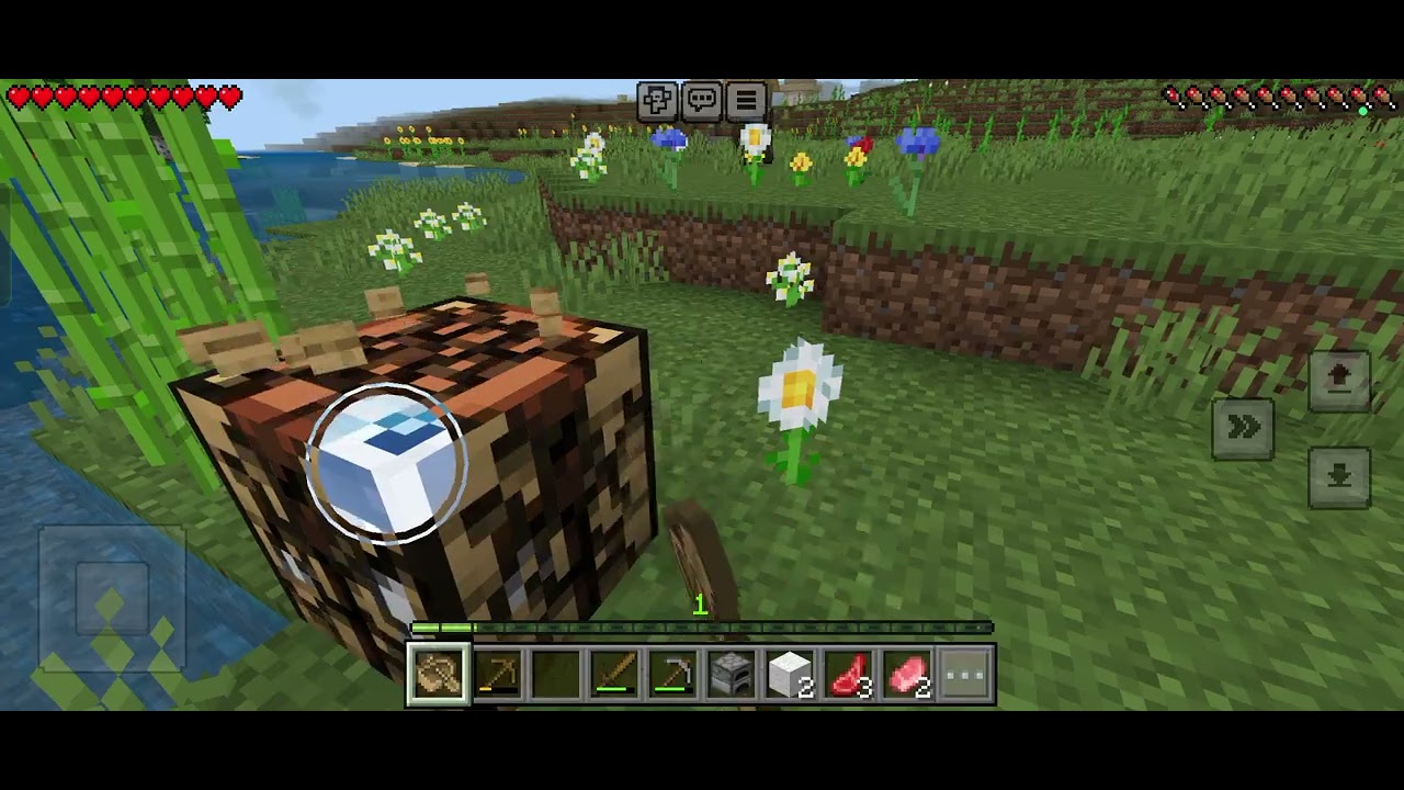 Minecraft hayatta kalma 